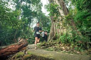 BIB: 
                            <button type="button" onclick="openModal(24809942)" class="btn btn-primary btn-sm float-right btn-popup" data-toggle="modal" data-target=".modal-high-quality">
                        <i class="fas fa-shopping-cart"></i> Add to Cart
                    </button>
                                            <button type="button" onclick="isThisMe(24809942, true)" class="btn btn-success btn-sm float-right btn-popup btn-isme hidden" data-toggle="tooltip" data-placement="bottom" title="นี่คือรูปของคุณใช่ไหม คลิกที่นี่เพื่อเอาเข้าอัลบั้ม">
                        <i class="fas fa-plus"></i> Add to album
                    </button>
                    <button type="button" onclick="isThisMe(24809942, false)" class="btn btn-warning btn-sm float-right btn-popup btn-isnotme hidden">
                        <i class="fas fa-ban"></i> Remove from album
                    </button>